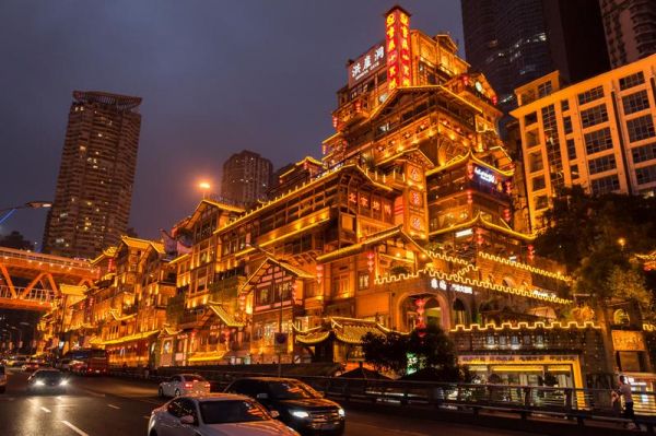 特色宠物会所：构建和谐温馨的宠物家园图1