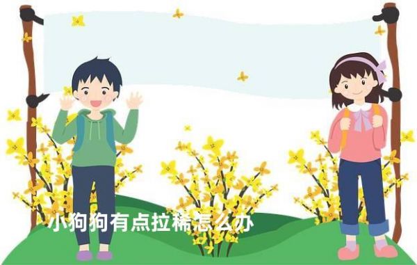 小狗狗有点拉稀怎么办