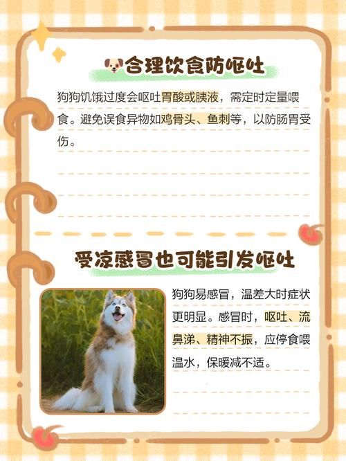 小狗不呕吐拉稀怎么办（狗狗不吐就是拉肚子没精神什么原因）