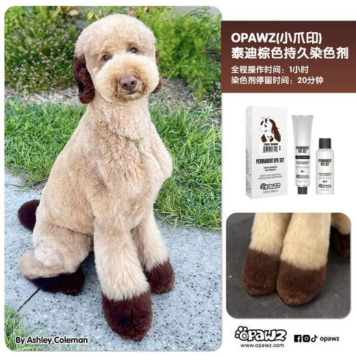 泰迪棕双支宠物持久染色剂 OPAWZ小爪印 商品图0