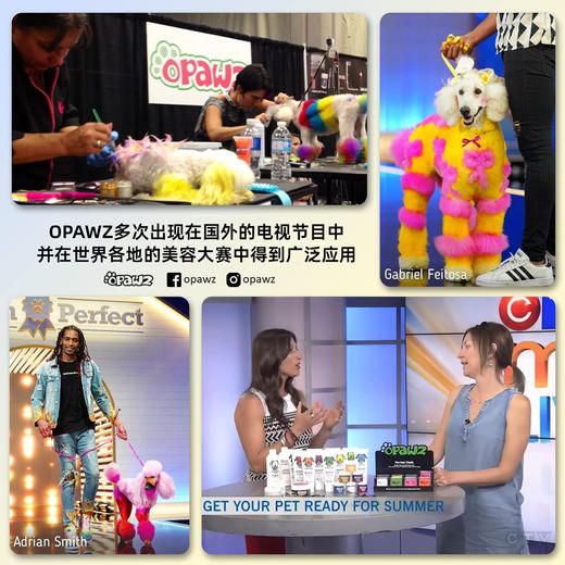 泰迪棕双支宠物持久染色剂 OPAWZ小爪印 商品图5
