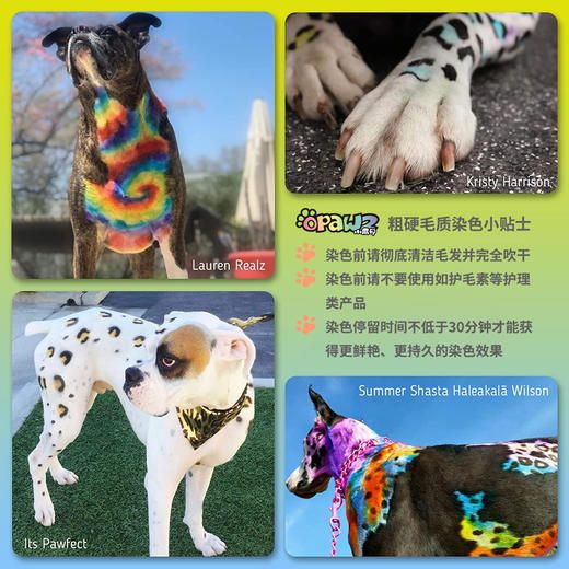 泰迪棕双支宠物持久染色剂 OPAWZ小爪印 商品图8