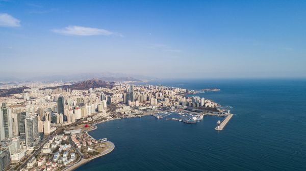 破局“出海” 青岛助优质宠物企业多元化开拓海外市场