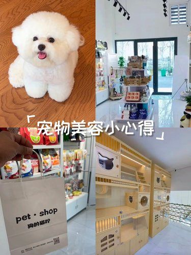 青岛家有毛孩子的，来这家就对了[比心]