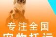 开封宠物猫咪托运托运活体狗