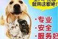 开封宠物托运飞机托运宠物