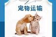 开封宠物托运邮寄火车托运