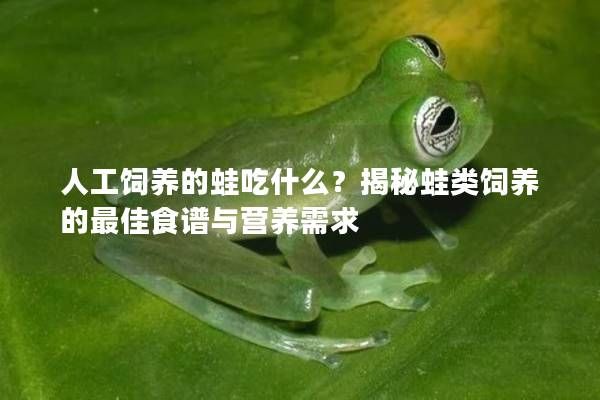 人工饲养的蛙吃什么？揭秘蛙类饲养的最佳食谱与营养需求