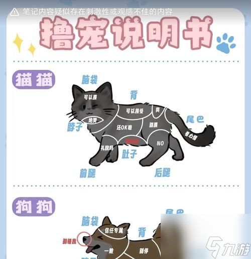 宠物心法解锁方法是什么？