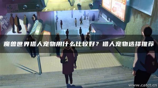 魔兽世界猎人宠物用什么比较好？猎人宠物选择推荐