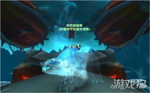 魔兽世界猎人宝宝推荐 最适合玩家宠物!