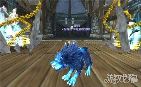 魔兽世界猎人宝宝推荐 最适合玩家宠物!