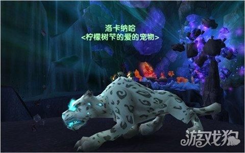 魔兽世界猎人宝宝推荐 最适合玩家宠物!