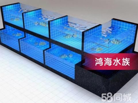 海鲜池制作安装·宠物用品/食品，专业定做定制酒店饭店超市海鲜池鱼缸贝类池大闸蟹池