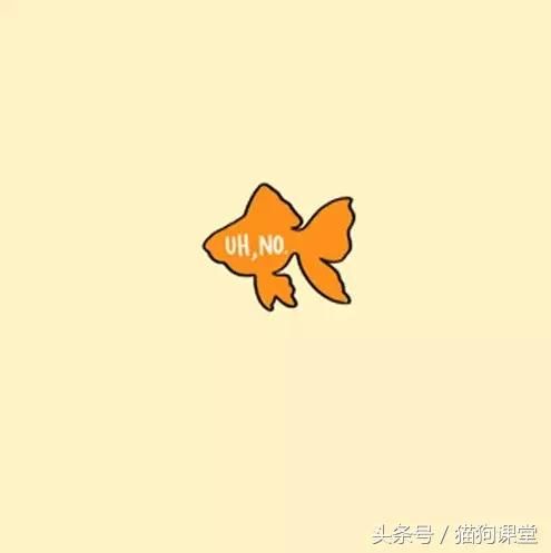 如何抚摸一只宠物？内附大量趣图，哈哈！
