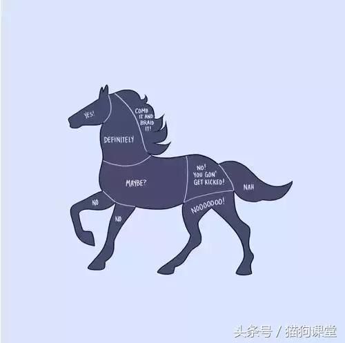如何抚摸一只宠物？内附大量趣图，哈哈！