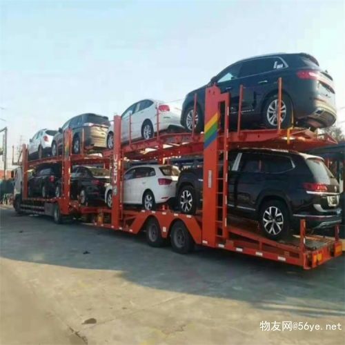济南到泉州宠物托运，安全快捷，时效保障！