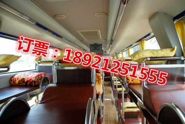  无锡到泉州宠物托运&安全