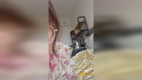 快来养一只随叫随到的小猫咪吧，太治愈了