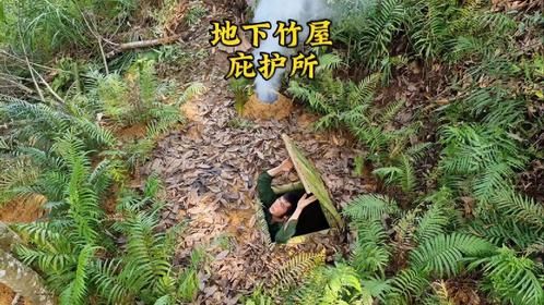 荒野建造完美的地下庇护所#野外建造 #庇护所建造 #荒野独居