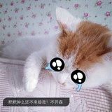融入