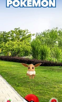 宝可梦GO 国际版(Pokemon GO) v0.325.1 安卓最新版 1