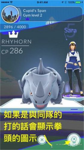 精灵宝可梦Go中文版