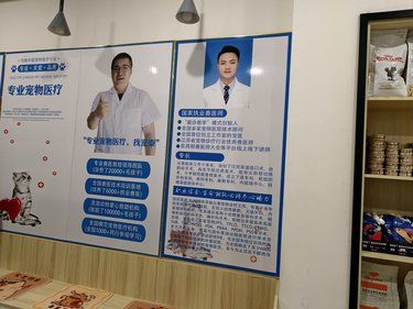 带着毛孩子体检的一天