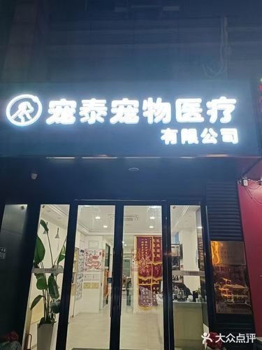 宠泰宠医 | 养宠避坑指南