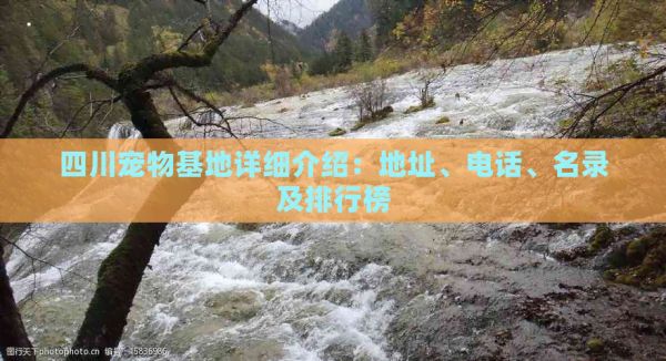 四川宠物基地详细介绍：地址、电话、名录及排行榜