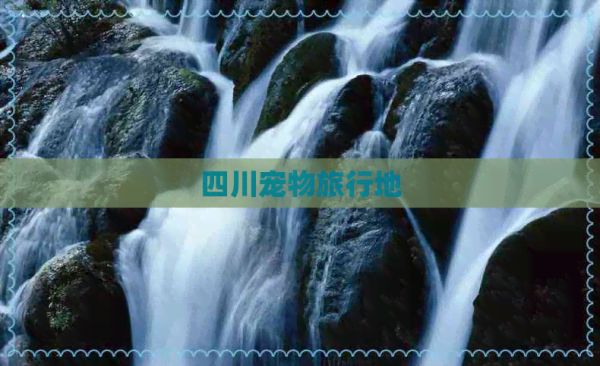 四川宠物旅行地