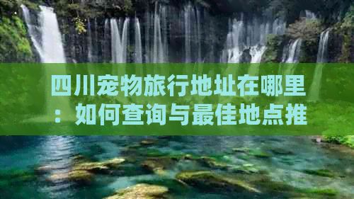 四川宠物旅行地址在哪里：如何查询与更佳地点推荐