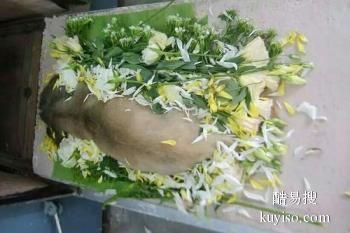 安阳宠物殡仪馆,安阳24小时宠物火化服务