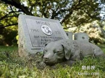 安阳宠物殡仪馆,安阳24小时宠物火化服务