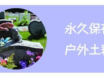 猫咪火化 狗狗火化 宠物火化 宠物狗火化 宠物狗火葬