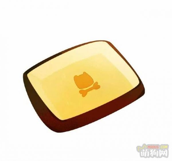 带狗旅行有妙招，学会这三招再也没有留守狗！