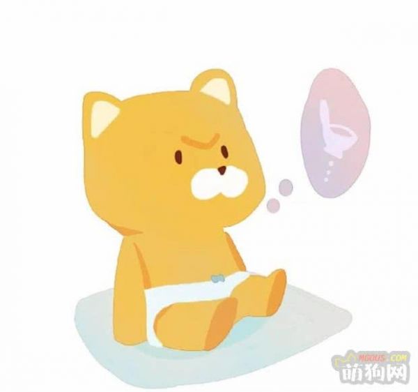带狗旅行有妙招，学会这三招再也没有留守狗！