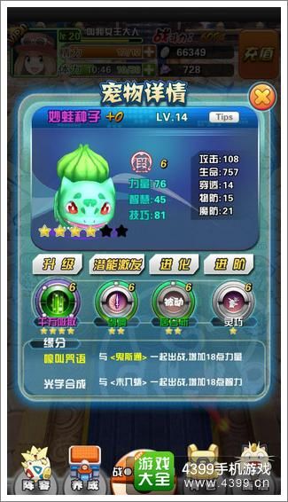 口袋妖怪宠物精灵