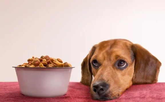 诱食剂在成分表里叫什么