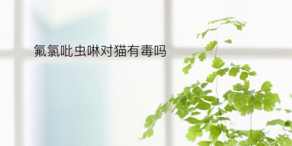氟氯吡虫啉对猫有毒吗