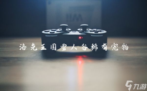 洛克王国雪人谷稀有宠物