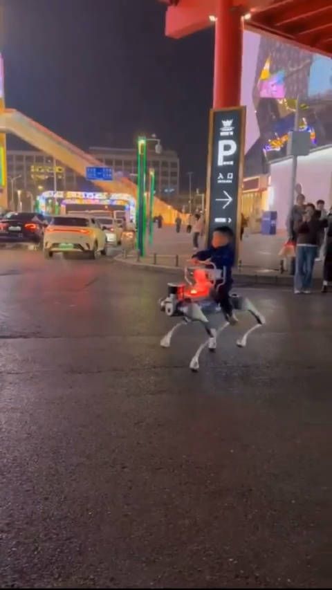 机器狗，不只是武器，也是宠物，还能代步了么