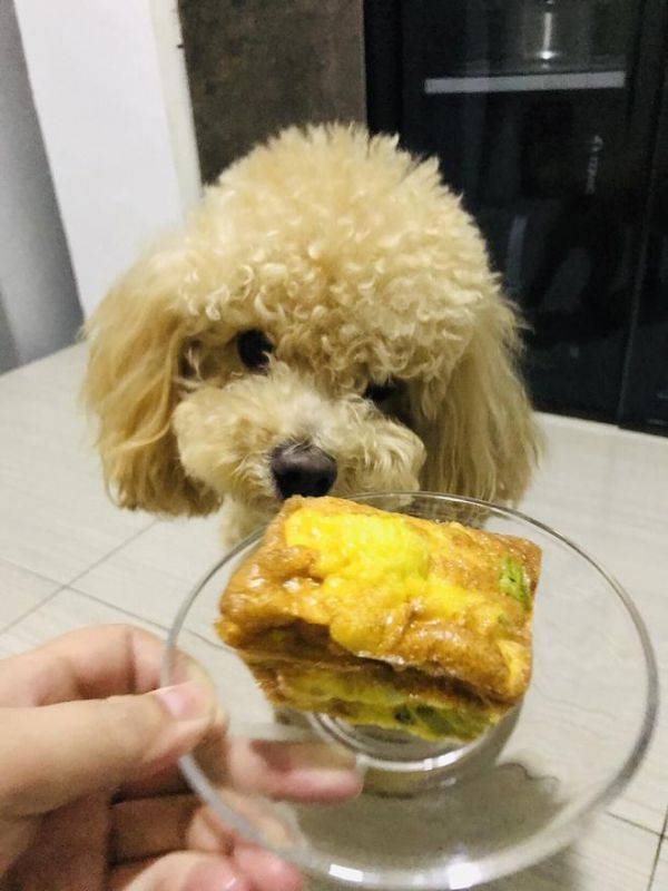 超级简单的宠物鸡肉蔬菜蛋挞、宠物零食、狗狗零食的做法