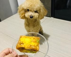 超级简单的宠物鸡肉蔬菜蛋挞、宠物零食、狗狗零食的做法 步骤8
