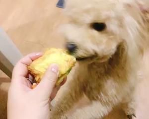 超级简单的宠物鸡肉蔬菜蛋挞、宠物零食、狗狗零食的做法 步骤11