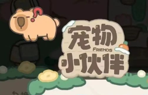 小红书宠物怎么挖宝-小红书宠物挖宝方法