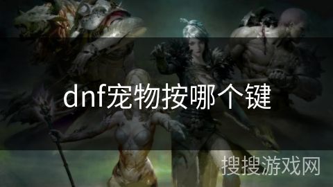 dnf宠物按哪个键