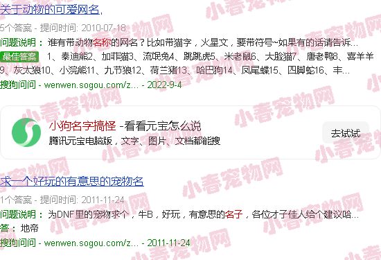小狗名字搞怪