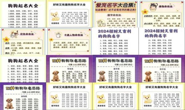 小狗名字搞怪
