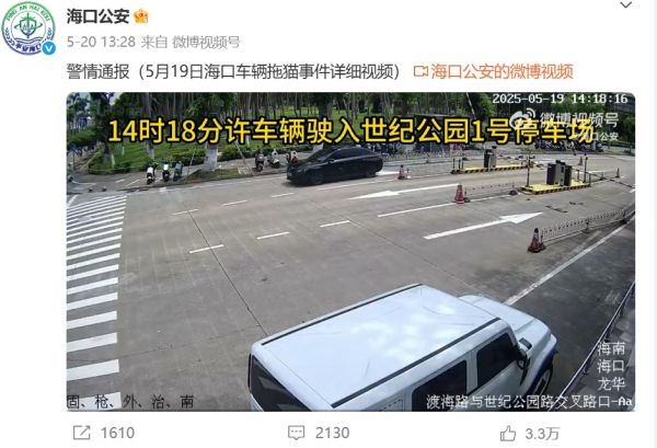 “汽车当街拖行小猫”，警方凌晨再通报！